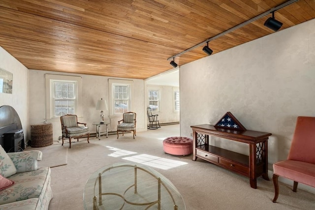 living area featuring carpet floors, wooden ceiling, and rail lighting