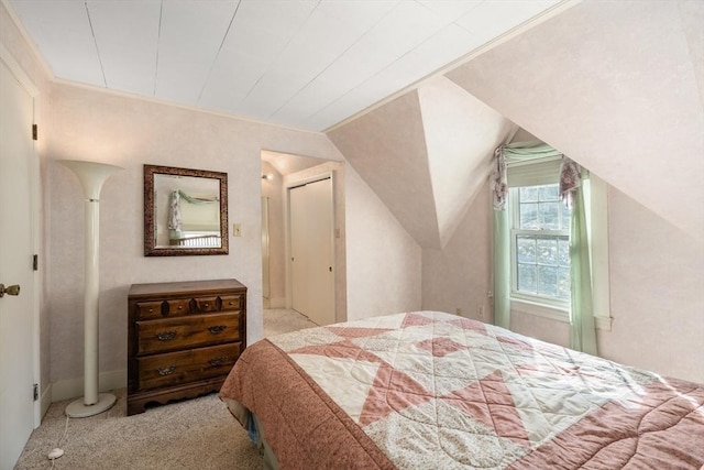 bedroom with lofted ceiling and carpet