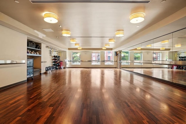 exercise area with a healthy amount of sunlight and wood-type flooring