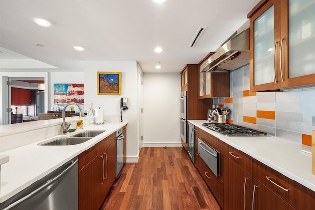 kitchen featuring stainless steel appliances, tasteful backsplash, dark wood-type flooring, range hood, and sink