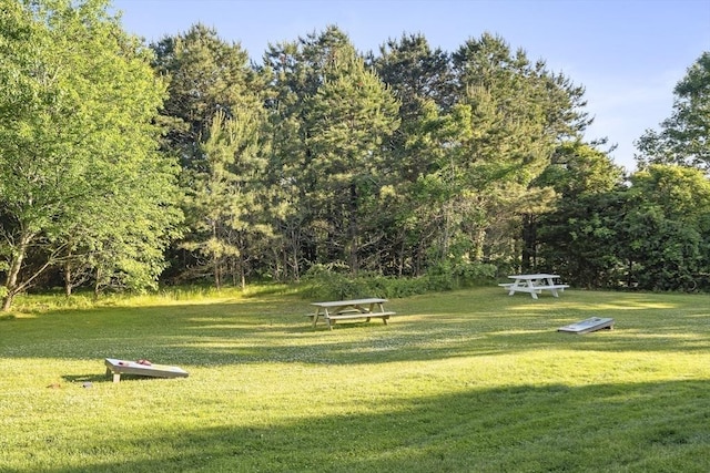 view of home's community featuring a yard