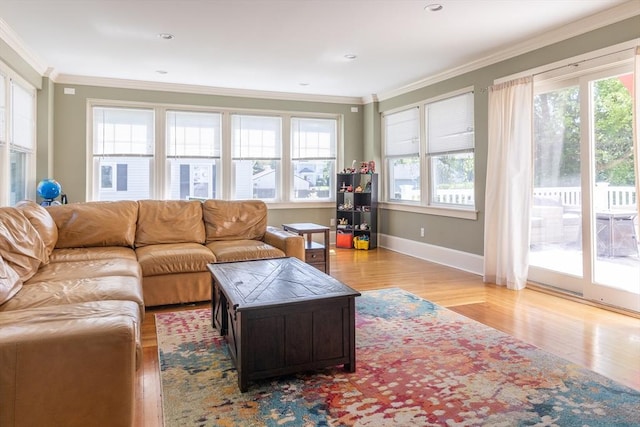 103 Maple Rd, Longmeadow, MA 01106 - living room with wood finished floors, crown molding, and baseboards