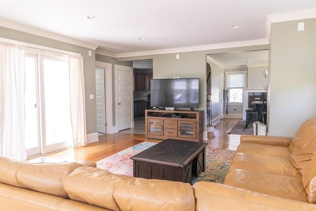 103 Maple Rd, Longmeadow, MA 01106 - living room featuring light wood-style flooring, baseboards, and crown molding