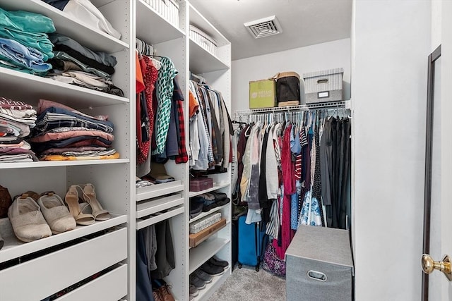 spacious closet with light carpet