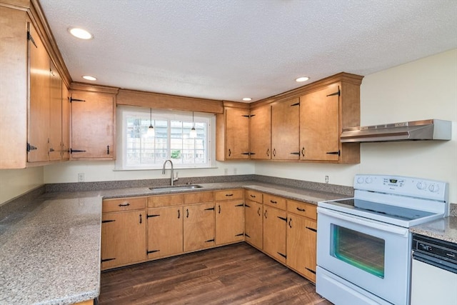 kitchen with recessed lighting, electric range, under cabinet range hood, and a sink