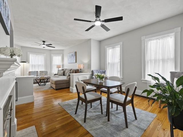 34 Rockland St, Melrose, MA 02176 - dining room with ceiling fan, plenty of natural light, light wood-style flooring, and a fireplace