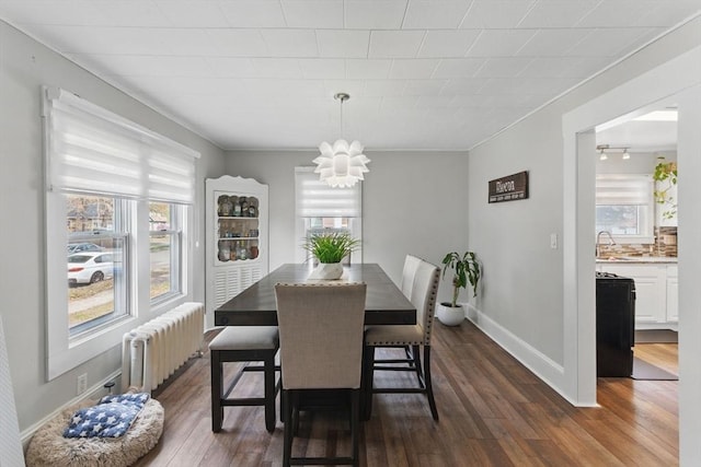 dining room featuring baseboards, a notable chandelier, radiator, and dark wood-type flooring