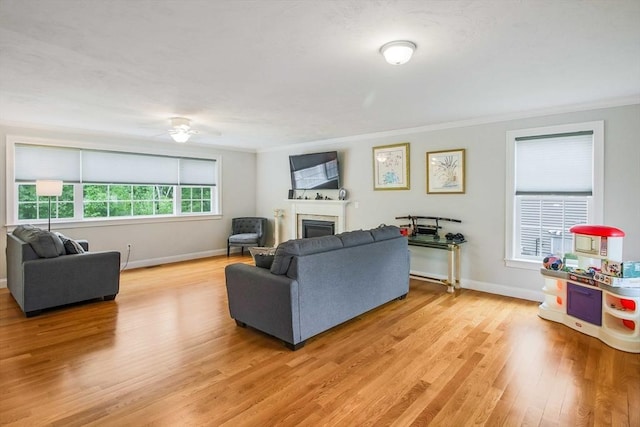 11 Bigelow Dr Unit 11, Berlin, MA 01503 - living room featuring crown molding, a fireplace, light wood-style flooring, baseboards, and ceiling fan