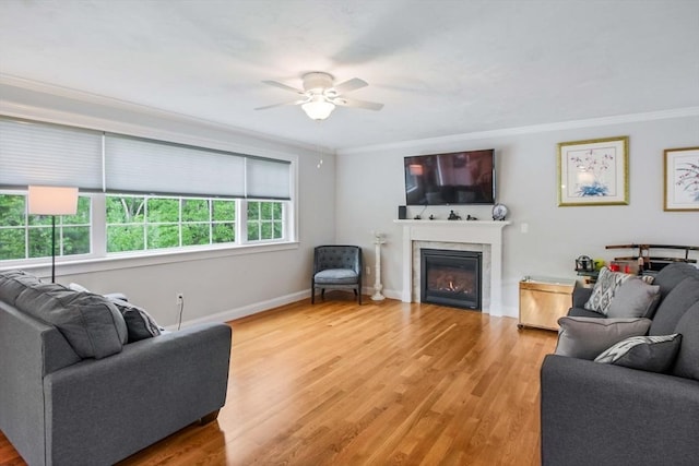 11 Bigelow Dr Unit 11, Berlin, MA 01503 - living room with ornamental molding, ceiling fan, a glass covered fireplace, light wood-type flooring, and baseboards