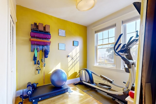 workout area featuring hardwood / wood-style flooring