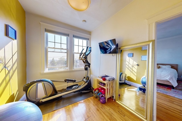 exercise area featuring light wood-type flooring and lofted ceiling