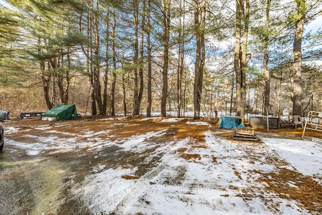 view of yard covered in snow