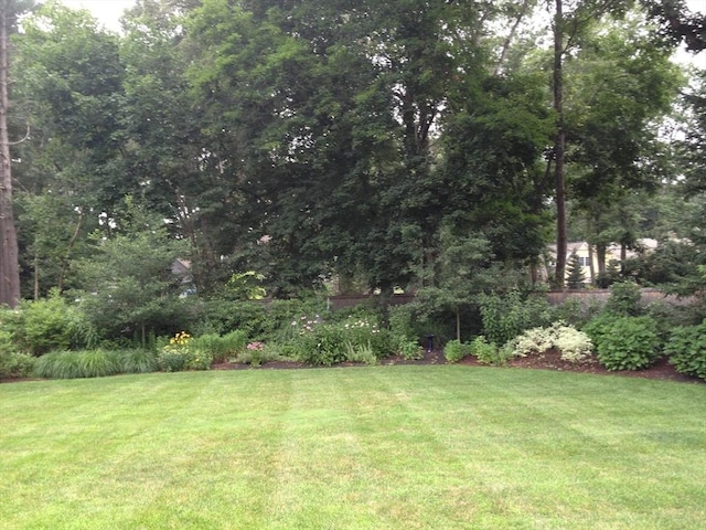 view of green lawn