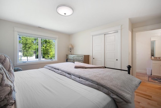 2 Nikkis Way, Hadley, MA 01035 - bedroom featuring light wood-style flooring and a closet