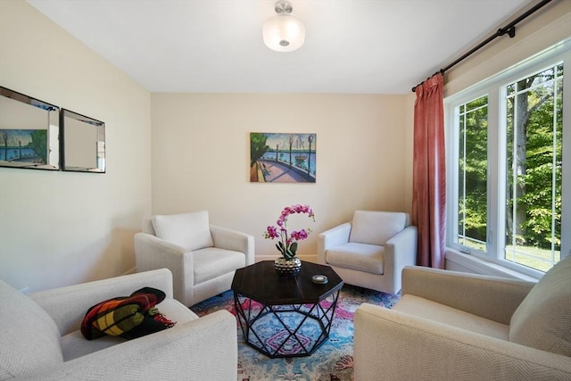 2 Nikkis Way, Hadley, MA 01035 - living area featuring plenty of natural light
