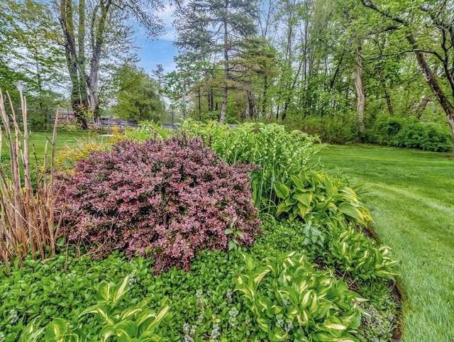 442 Purchase St, Easton, MA 02375 - view of grassy yard