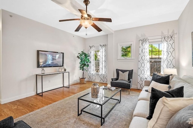 16 Green St Unit 11, Ipswich, MA 01938 - living room featuring wood finished floors, a ceiling fan, and baseboards