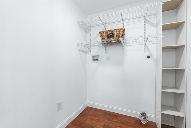 laundry area with electric dryer hookup, dark wood-type flooring, and washer hookup