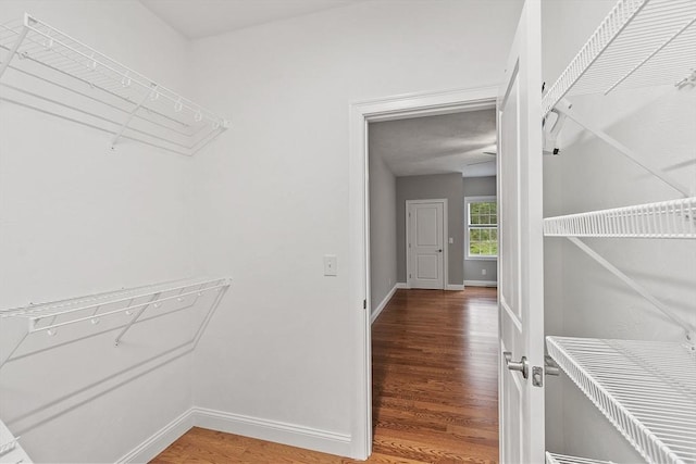295 Sewall St Unit 295, Boylston, MA 01505 - walk in closet featuring light wood finished floors
