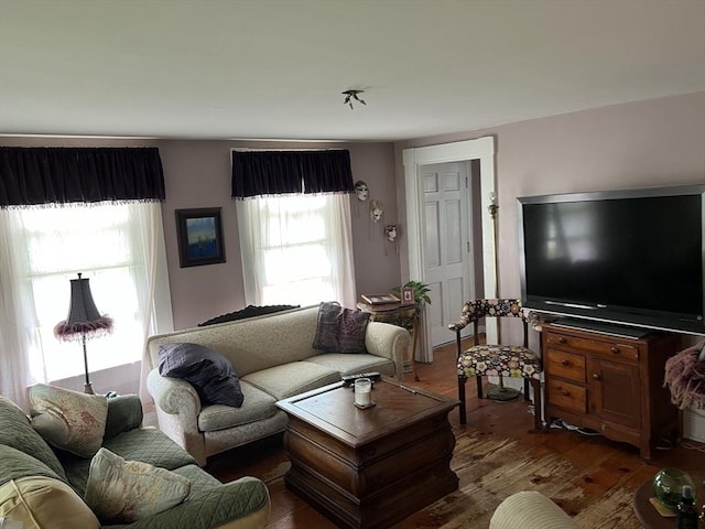 living room featuring dark hardwood / wood-style floors