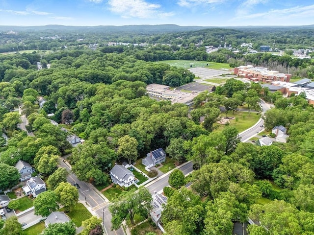 6 Flagg Dr, Framingham, MA 01702 - drone / aerial view of a heavily wooded area