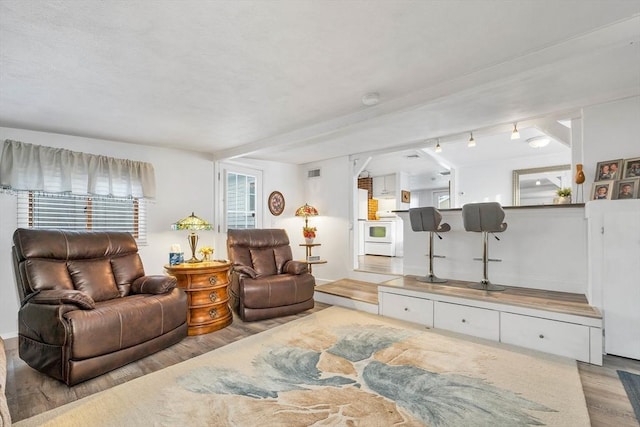 living room featuring light hardwood / wood-style floors