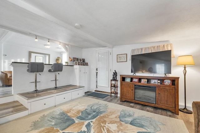 living room featuring light hardwood / wood-style floors