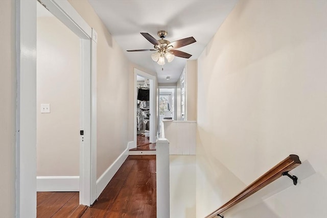 hallway featuring dark wood-type flooring