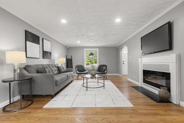 235 Groton Rd, Chelmsford, MA 01863 - living area with crown molding, baseboards, recessed lighting, wood finished floors, and a fireplace with flush hearth