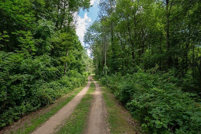 217 Grove St, Paxton, MA 01612 - view of dirt / gravel road with a wooded view
