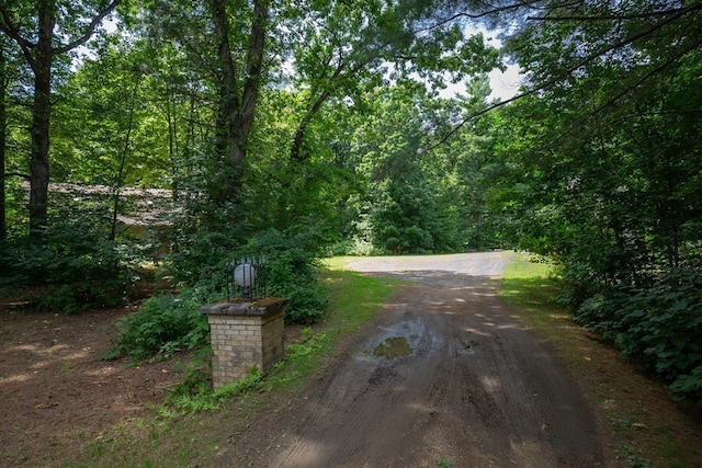 217 Grove St, Paxton, MA 01612 - view of dirt / gravel road featuring a view of trees