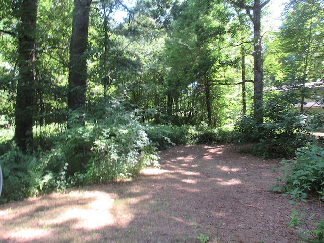 217 Grove St, Paxton, MA 01612 - view of yard featuring a view of trees