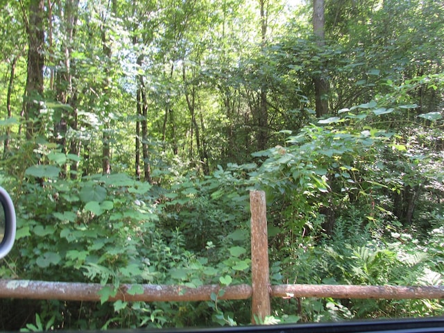 217 Grove St, Paxton, MA 01612 - view of woods