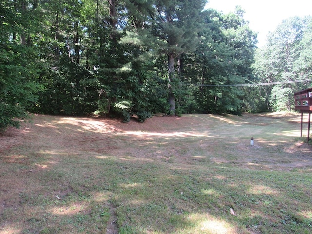 217 Grove St, Paxton, MA 01612 - view of yard
