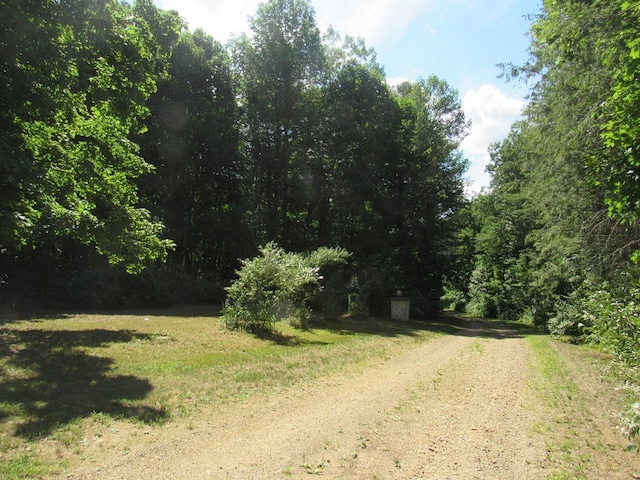 217 Grove St, Paxton, MA 01612 - view of dirt / gravel road featuring a wooded view