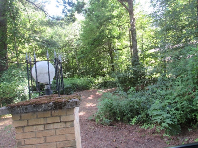 217 Grove St, Paxton, MA 01612 - view of yard with a wooded view
