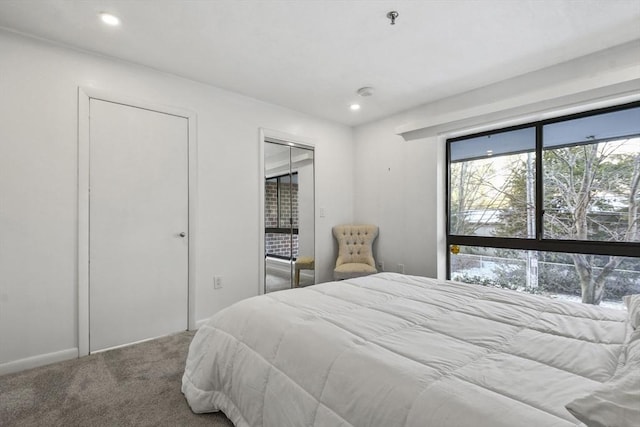 carpeted bedroom with multiple closets