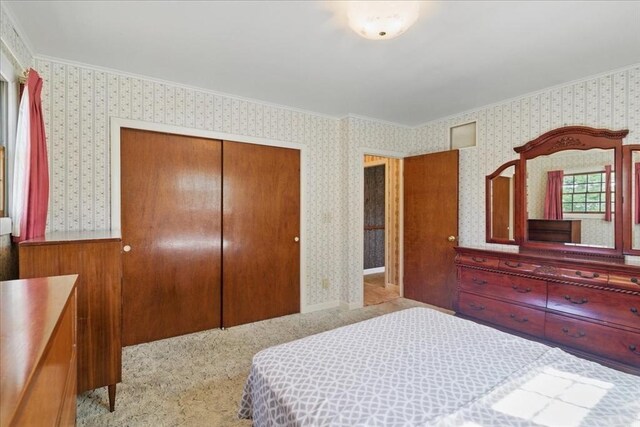 carpeted bedroom with wallpapered walls, ornamental molding, and a closet