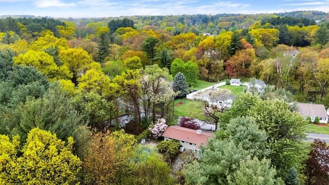 drone / aerial view of a forest