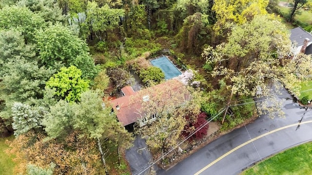 bird's eye view