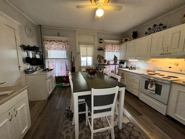 kitchen with white electric range oven, dark hardwood / wood-style flooring, and white cabinetry