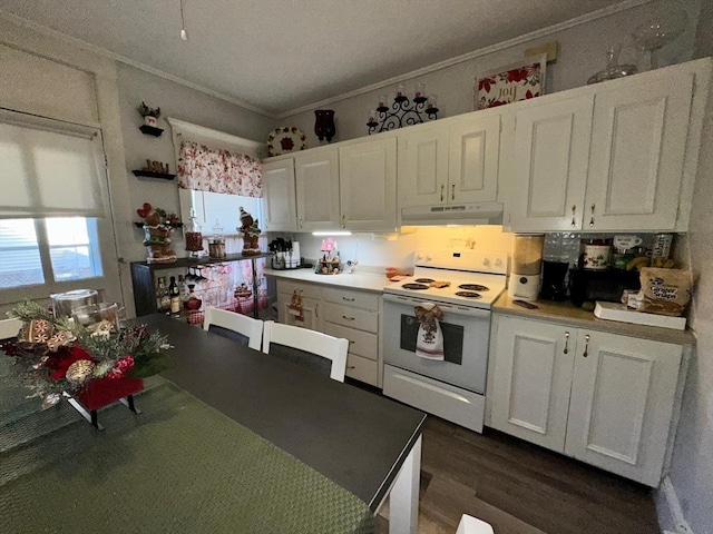 kitchen with white cabinetry, ornamental molding, dark hardwood / wood-style floors, and white electric stove