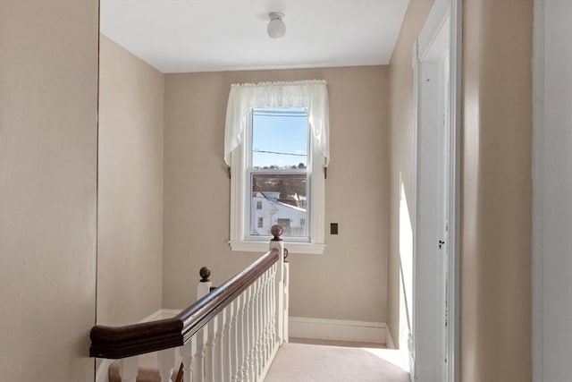 stairs featuring carpet floors