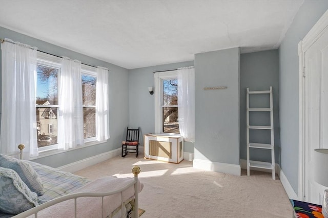 living area with light colored carpet and plenty of natural light