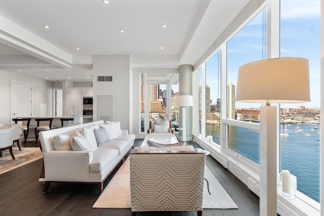 living room featuring sink, a water view, and dark hardwood / wood-style floors