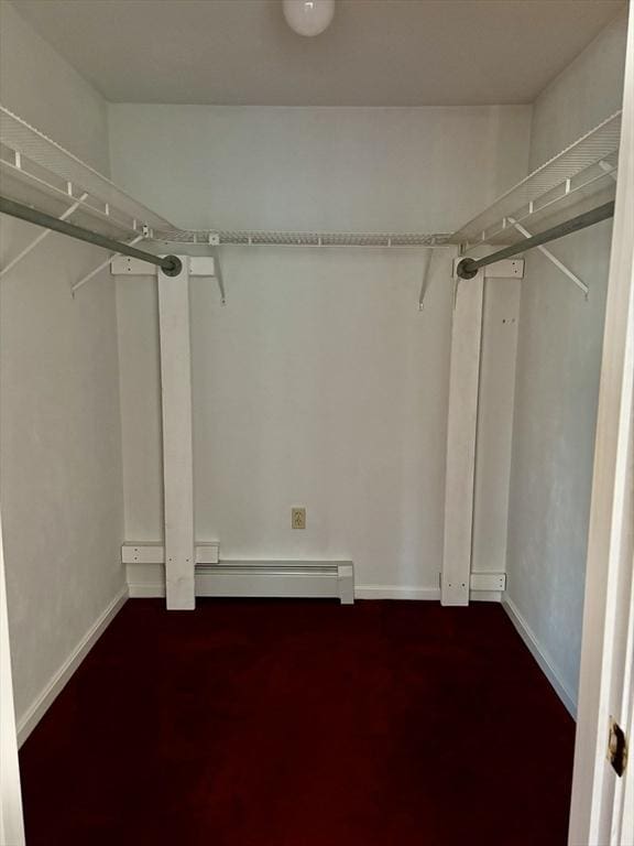 spacious closet with carpet