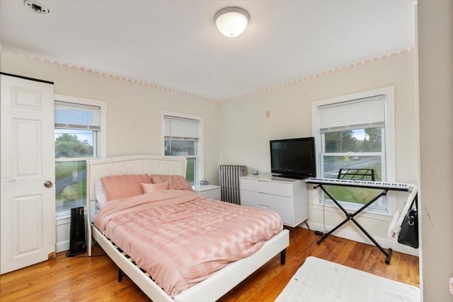 701 Nashua Rd, Dracut, MA 01826 - bedroom with multiple windows, light wood-style flooring, and radiator