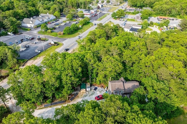 452 Nathan Ellis Hwy, Mashpee, MA 02649 - view of property location with a heavily wooded area