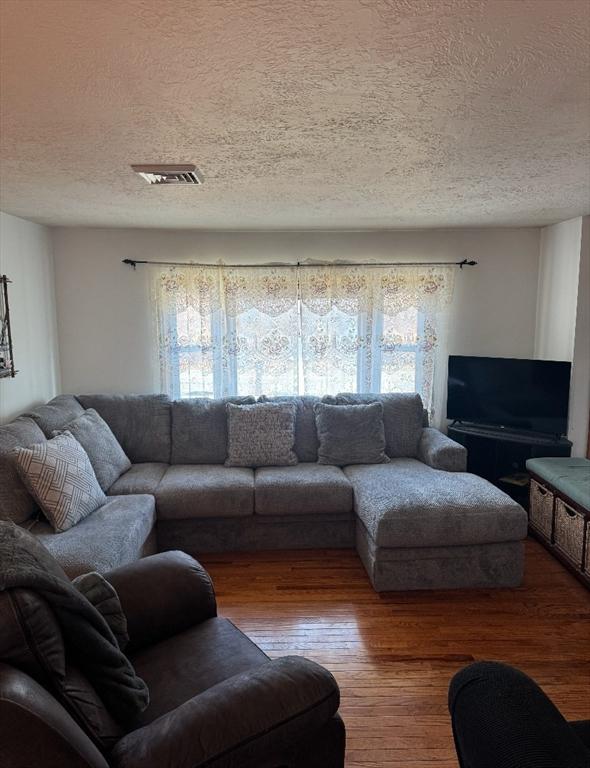 living room featuring wood-type flooring, plenty of natural light, and a textured ceiling