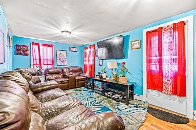 living area with a baseboard radiator and wood finished floors